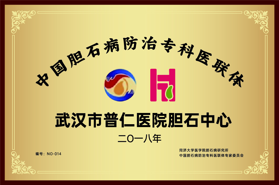 中国胆石病防治专科医联体