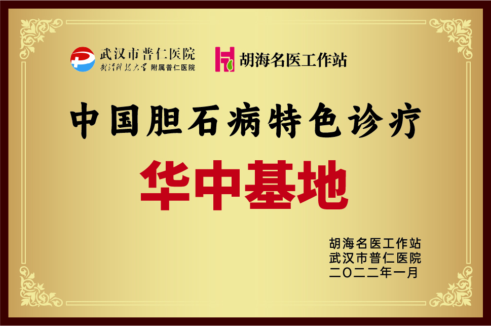 中国胆石病特色诊疗华中基地